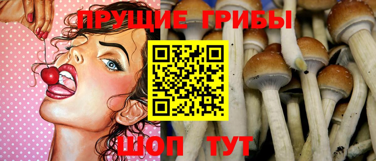 Псилоцибиновые грибы Magic Shrooms  Вход с VPN  Гуково 